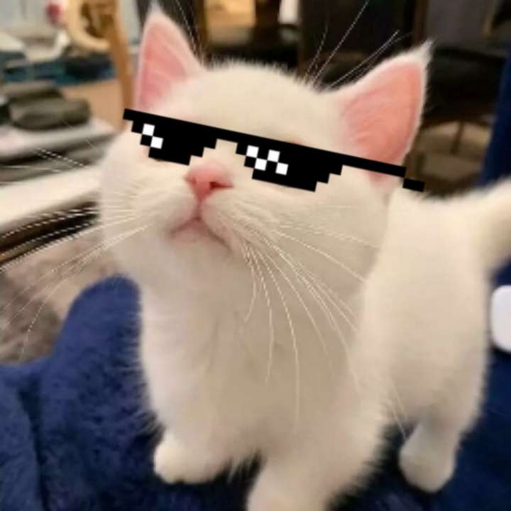 uvu Hazánk Mozgalom Logo